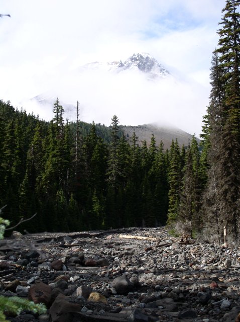 Newton Creek Oct 16 2005 058 